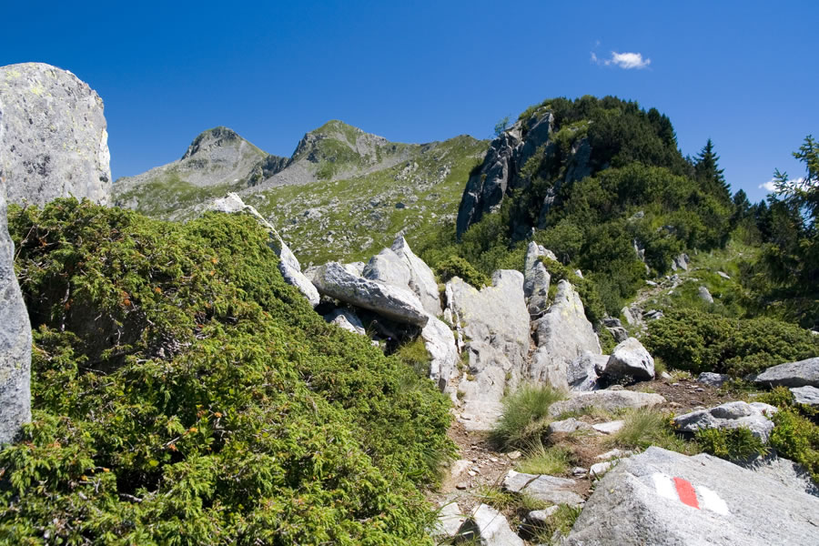 Marmontana, Cima di Cugn