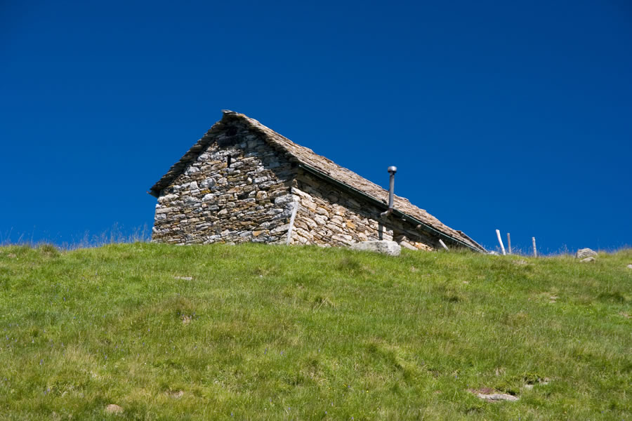 Koča