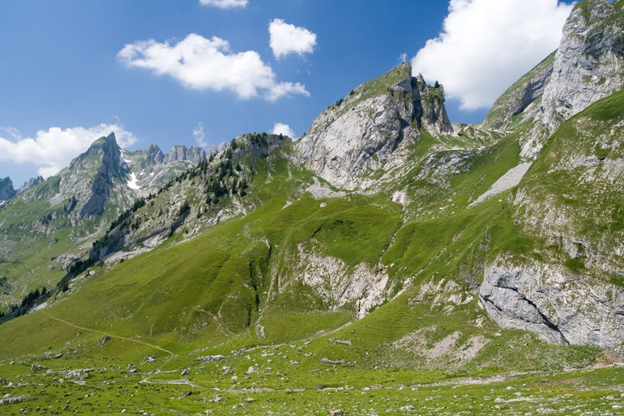 Flis, Hundstein