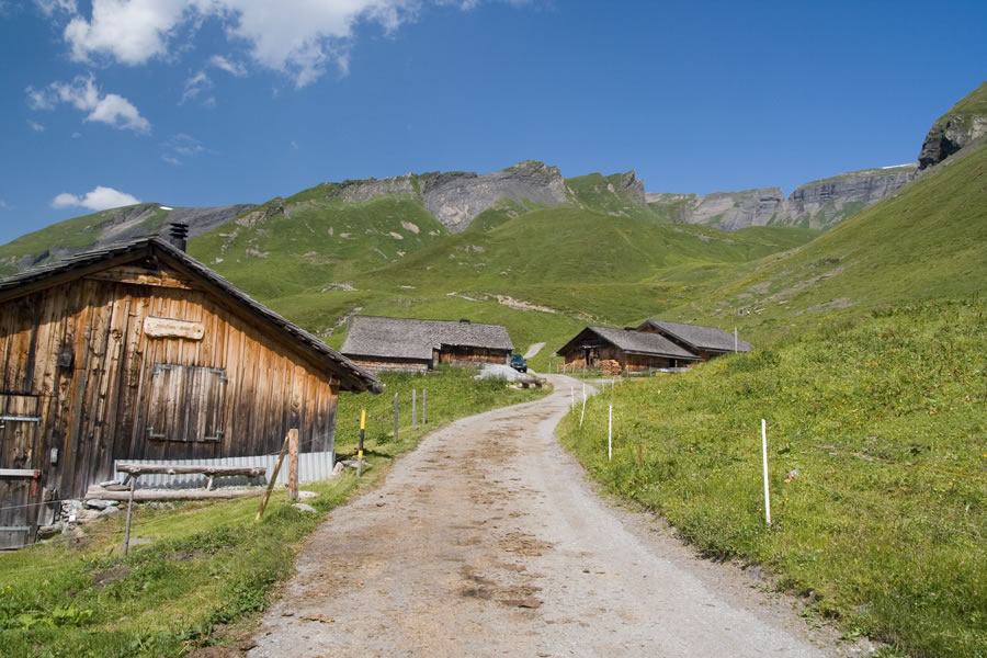 Grindel Oberl�ger