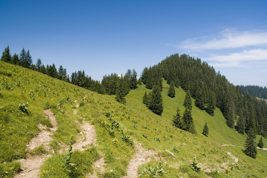 Sedlo Sarojasattel, kot nalašč za...