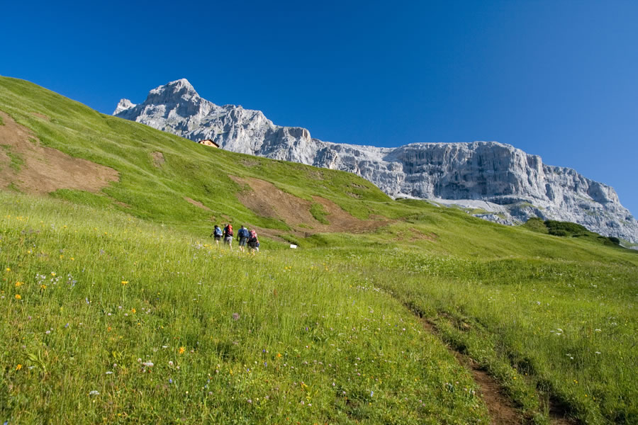 Sulzfluh