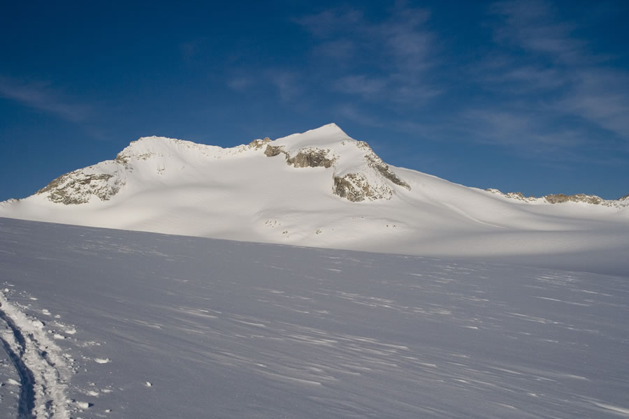 Corno Bianco