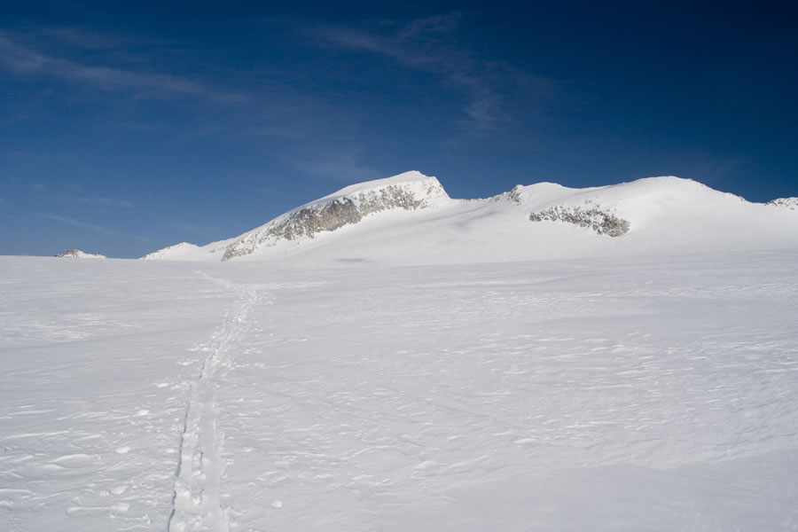 Monte Adamello