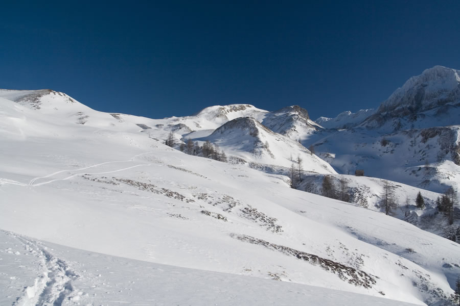 Labspitze