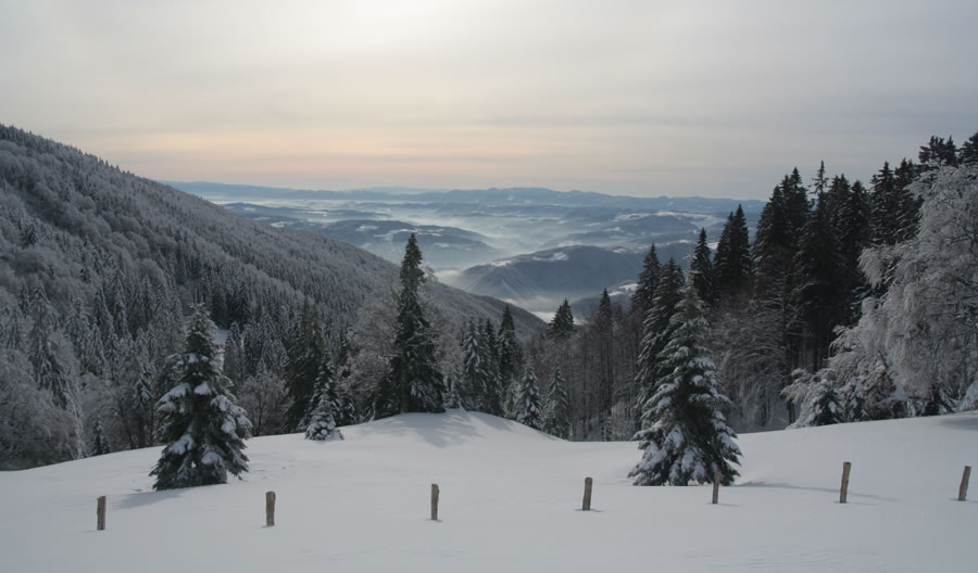 Dolina