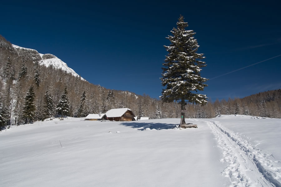 Planina Ravne