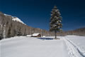 Planina Ravne