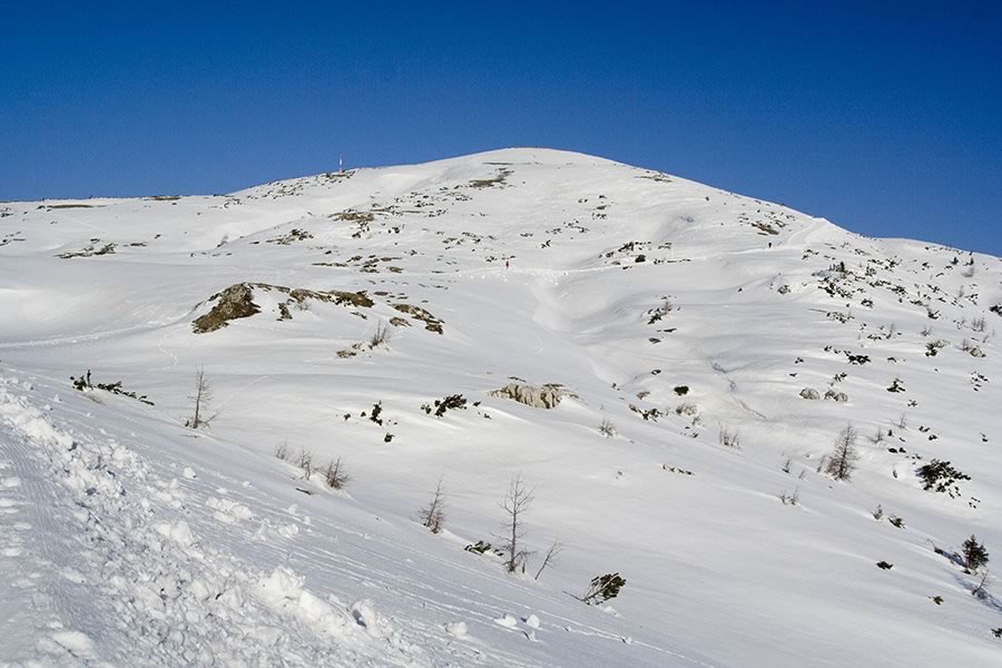 Zehnernock