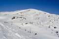 Zehnernock
