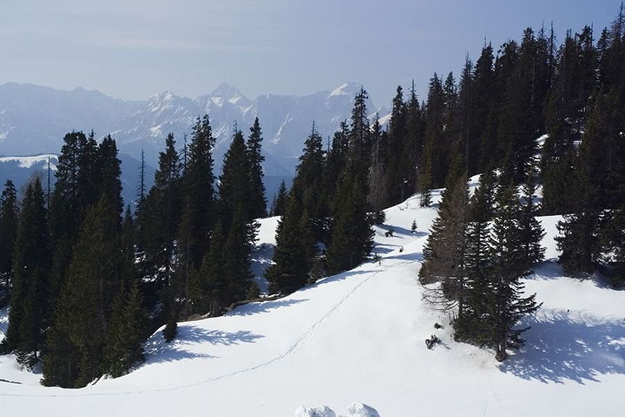 Julijci