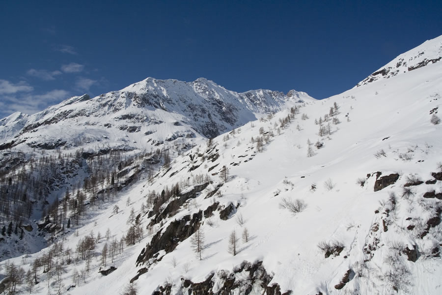 Quirl