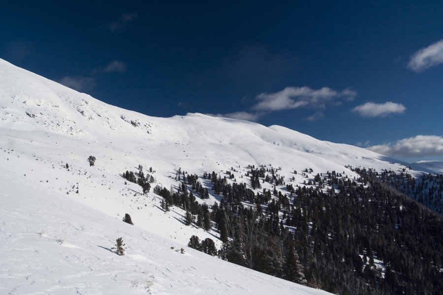 Wintertalernock