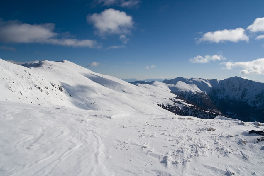 Wintertalernock