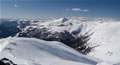 Rosennock