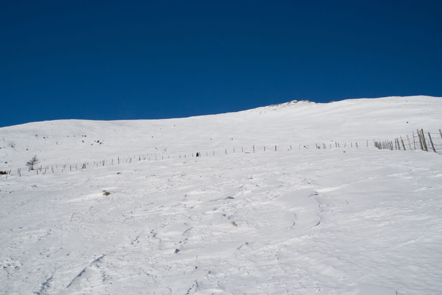 Faschaunereck