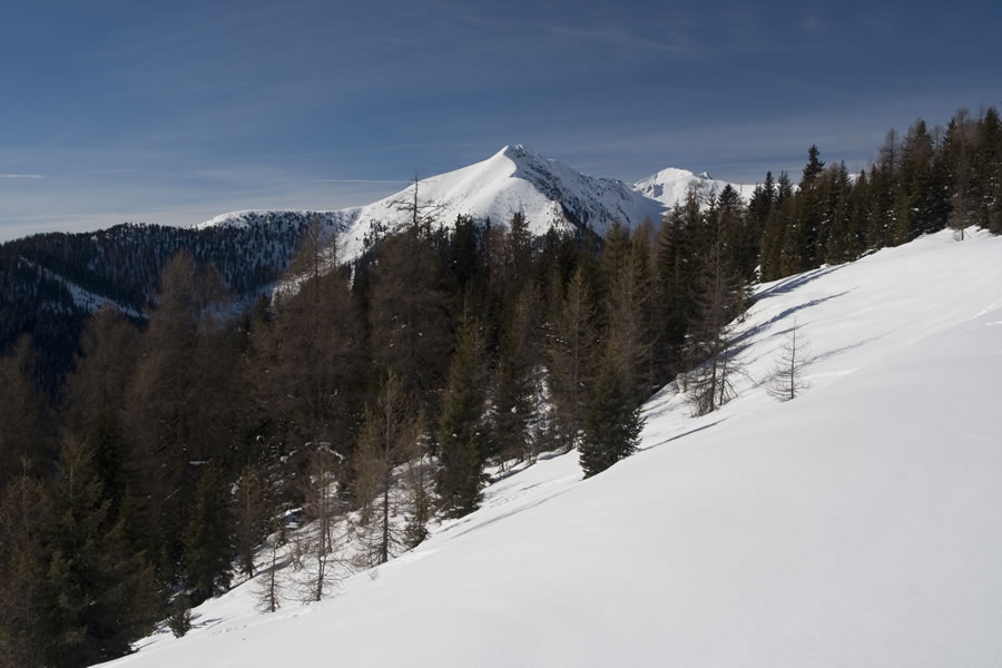 Ochsenfelder