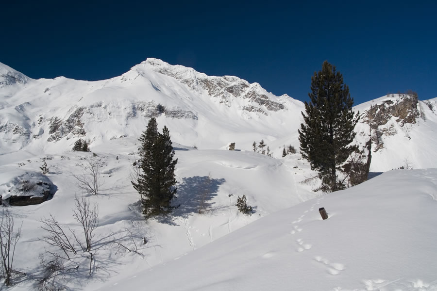 Vorderer Gesselkopf