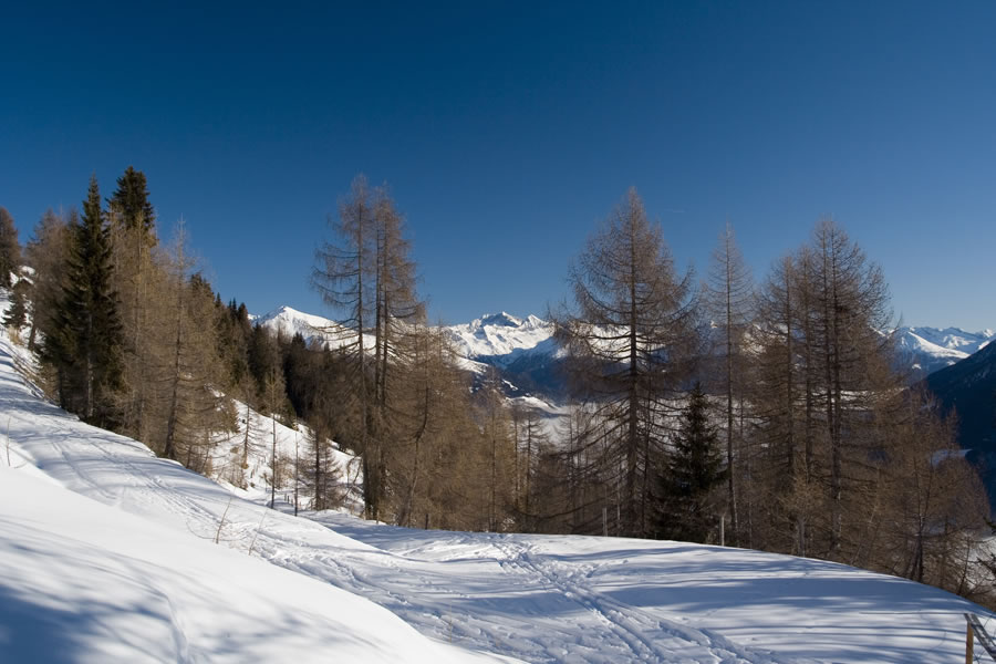 Hochalmspitze