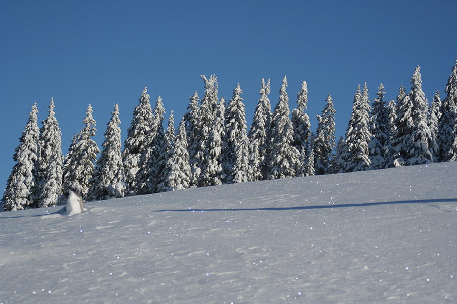 Proti vrhu