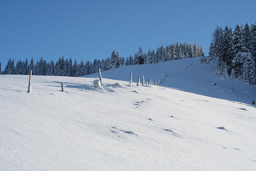 Pobočje Javornika