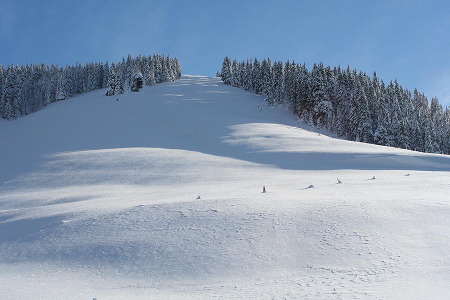Veliki Javornik