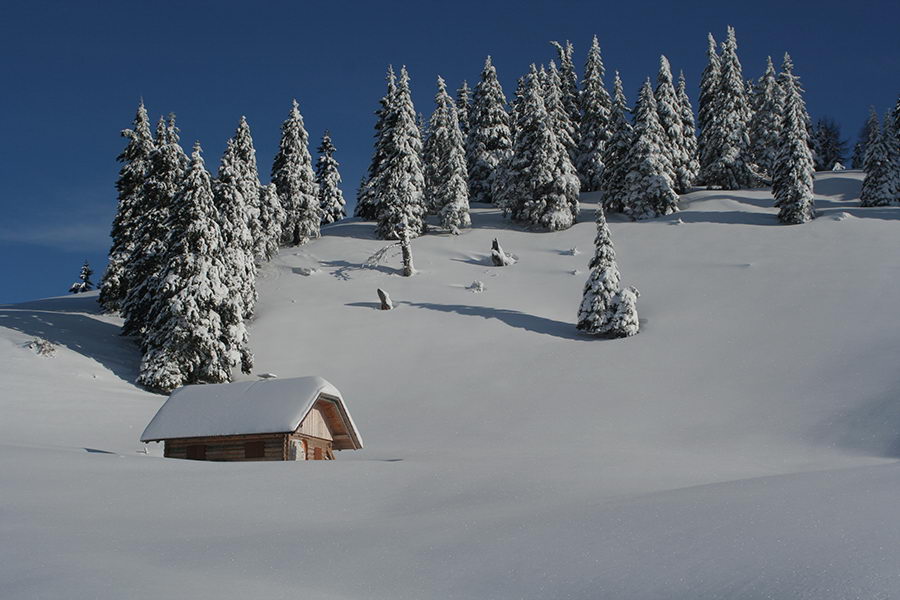 Planina Javornik