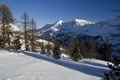 Gamskarl Spitze