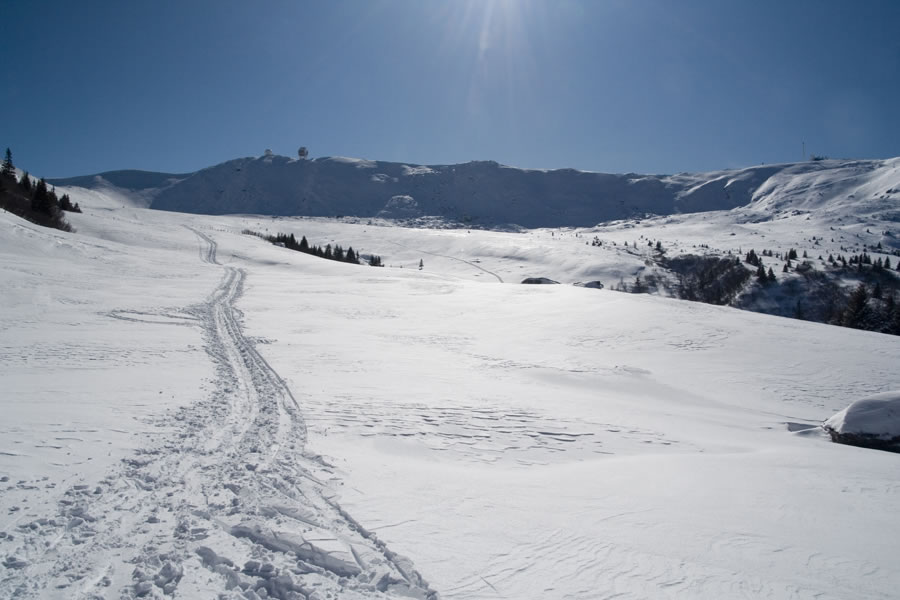 Gro�er Speikkogel