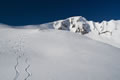 T�rlkopf