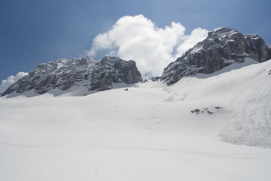 Forca Sopra Medon