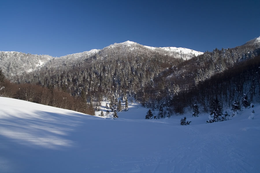 Možic