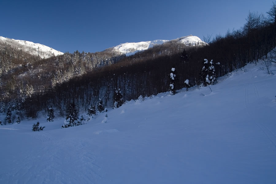 Slatnik