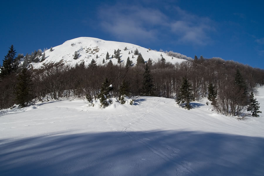 Šavnik
