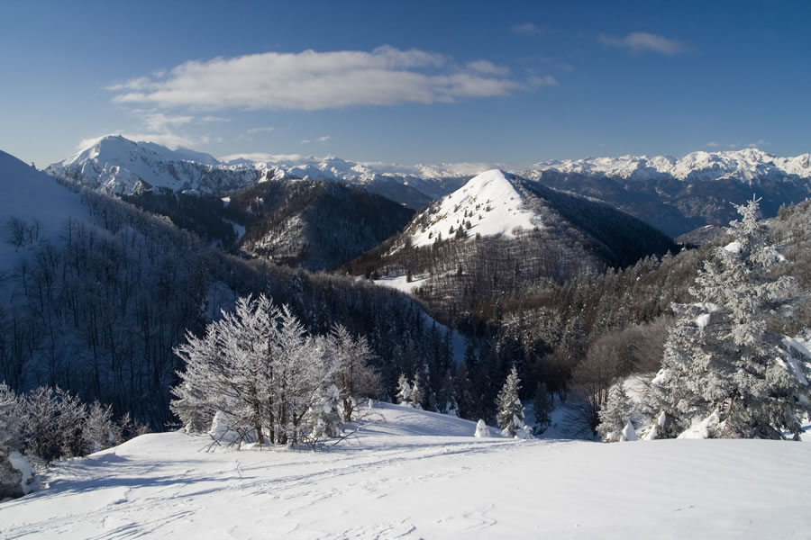 Črna prst, Šavnik