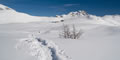 Alpe di Sennes, Sennesalm