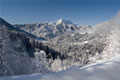 Tolsta Košuta, Košutnikov Turn