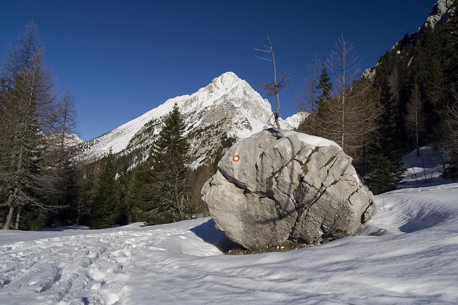 Vrtača z Zelenice