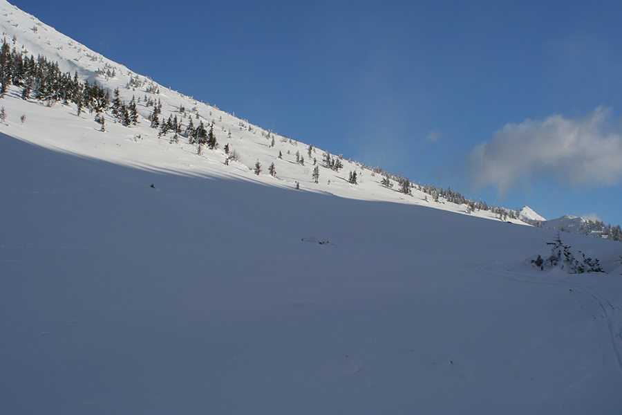 Zgornja Dolga njiva