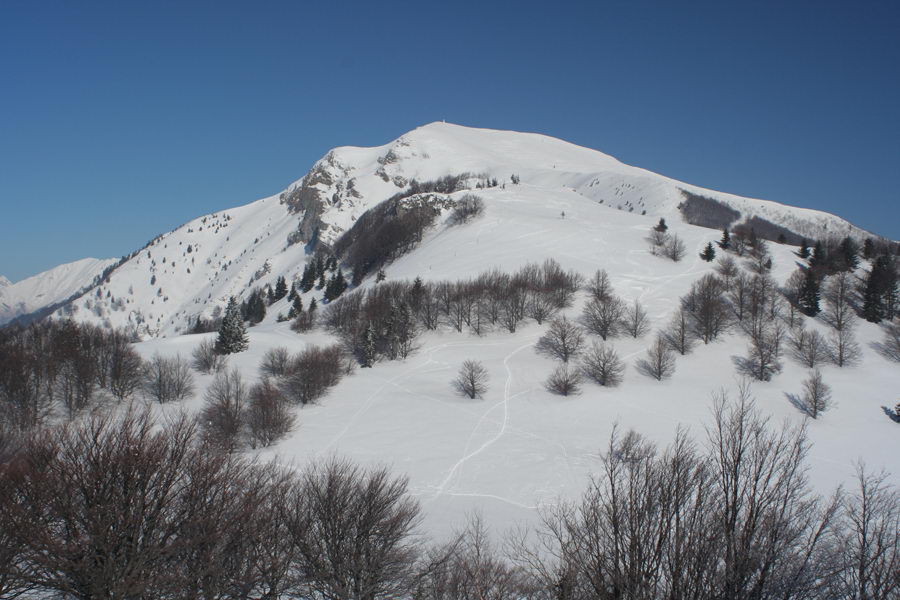 Medrce in Porezen