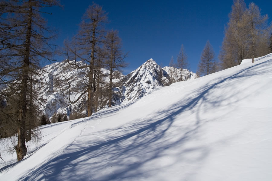 Weittalspitze