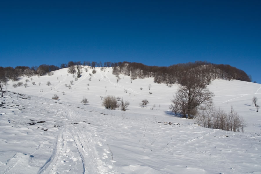 Špilnik