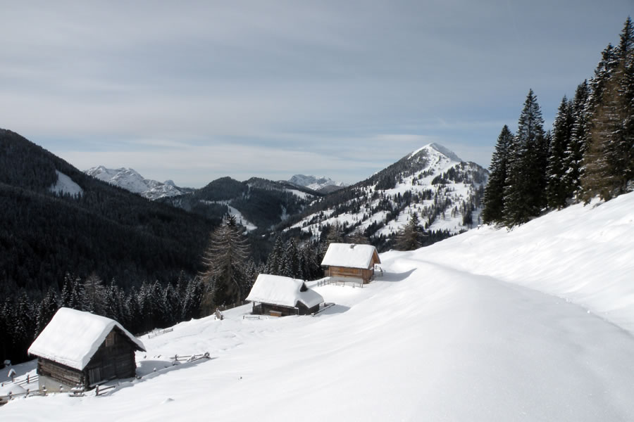 G�rtschacher Alm in Poludnik