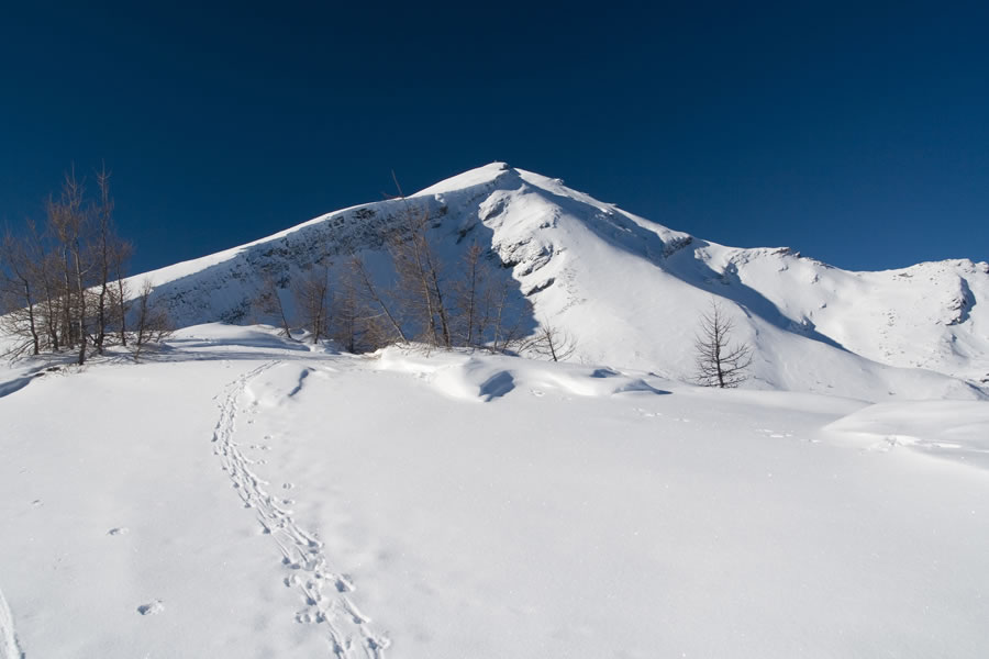 Sternspitze