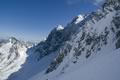 Zelenjak