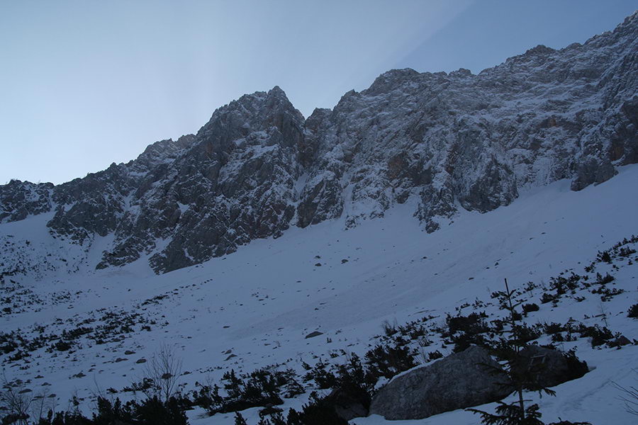 Zelenjak