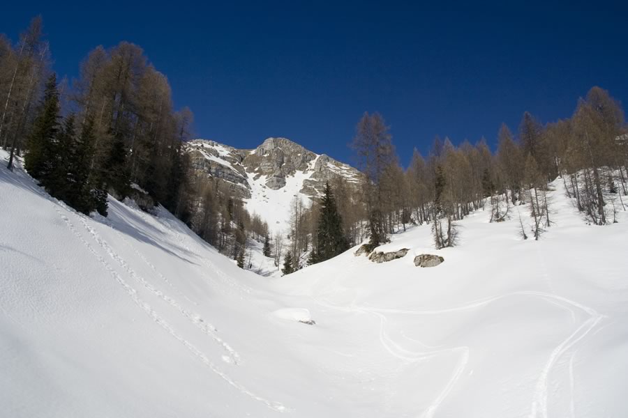 Plazki Kuk