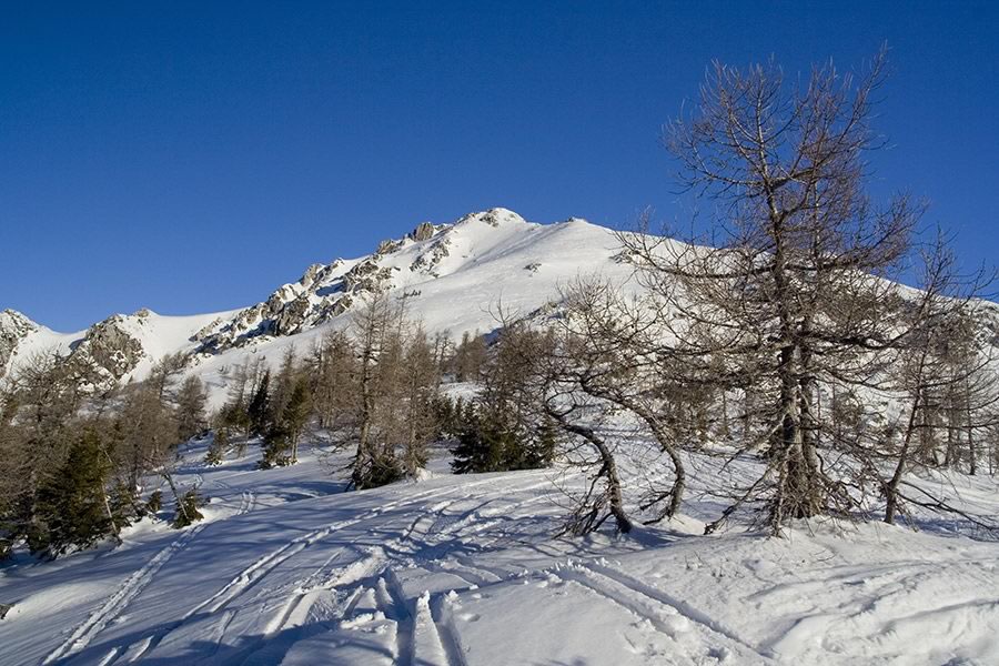 Viševnik