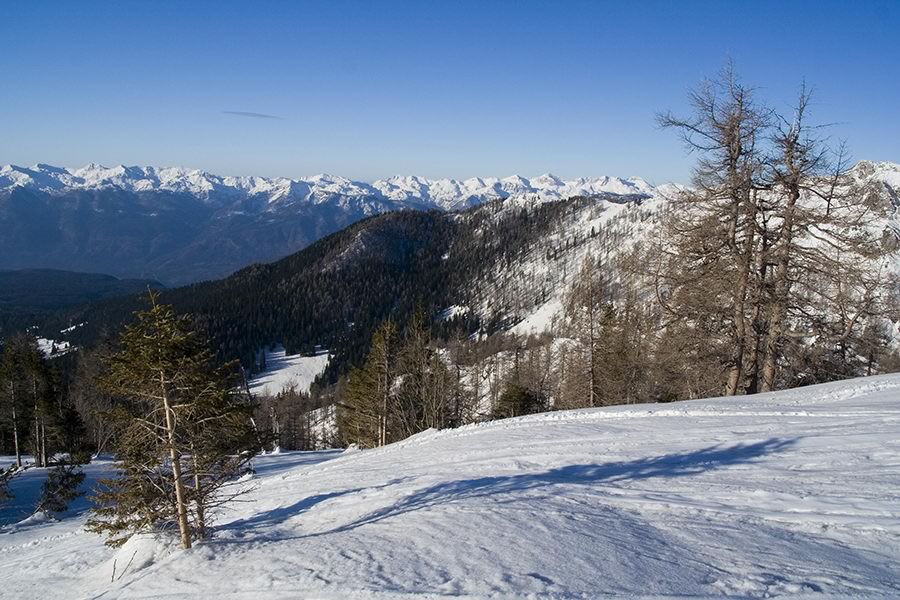 Bohinjske gore