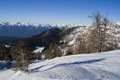 Bohinjske gore